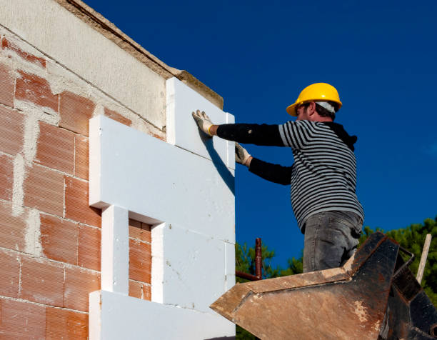 Professional Insulation Contractor in Colchester, IL