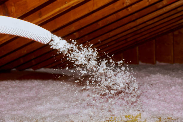 Best Insulation Maintenance and Repair in Colchester, IL