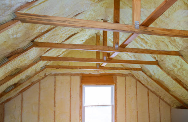 Best Specialized Insulation Services in Colchester, IL