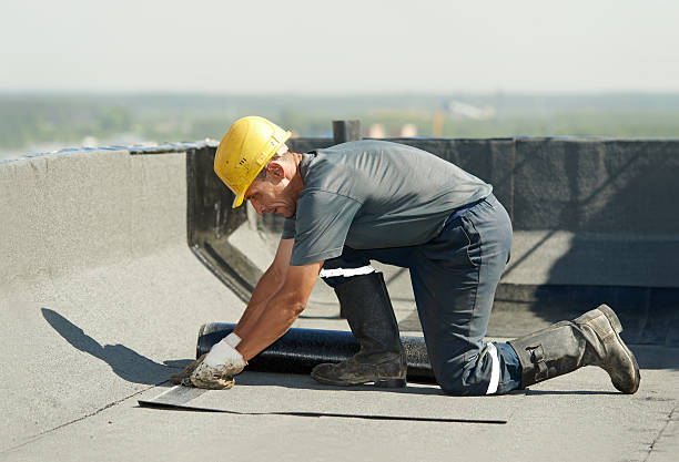 Best Geographic-Specific Insulation Services in Colchester, IL
